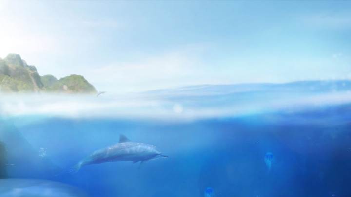 Dolphin In Sea Near Mountain